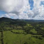 Se vende finca ganadera en margarita de chepo