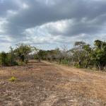 Finca de 23 hectareas en el higo