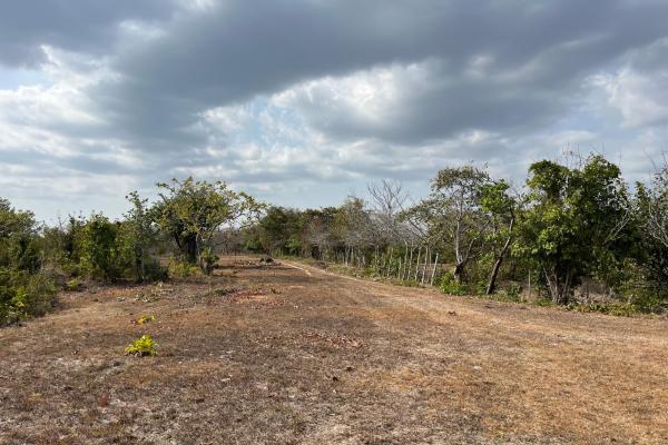 Finca de 23 hectareas en el higo