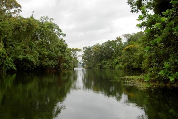 Hermosa finca con magníficas vistas en colón a orillas de lago gatún