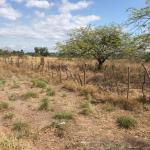 Se vende terreno frente a la panamericana en santiago