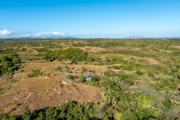 Lote de montaña de 26 ha. en el copé panamá