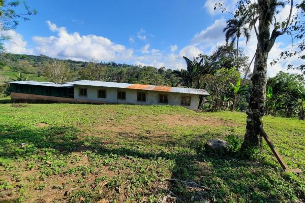 Finca agrícola en venta en renacimiento, monte lirio, palmarito.