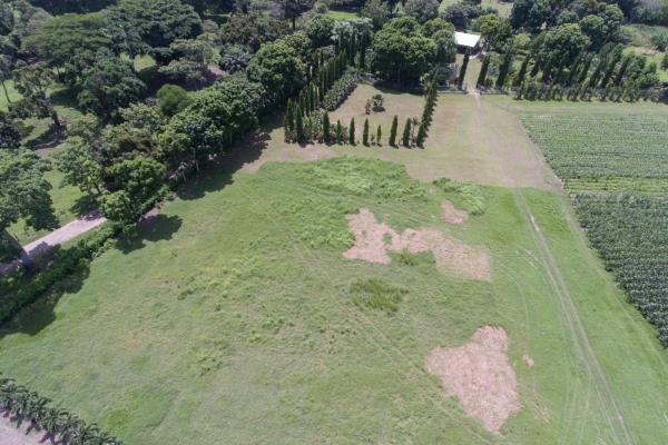 Venta de finca en rio hato