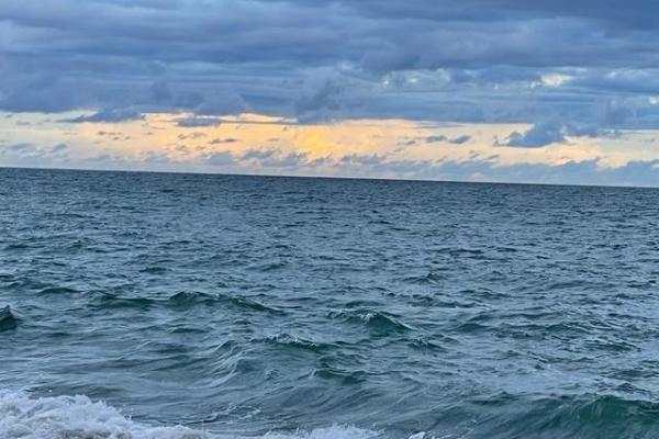 Se alquila o se vende apto amueblado en la playa