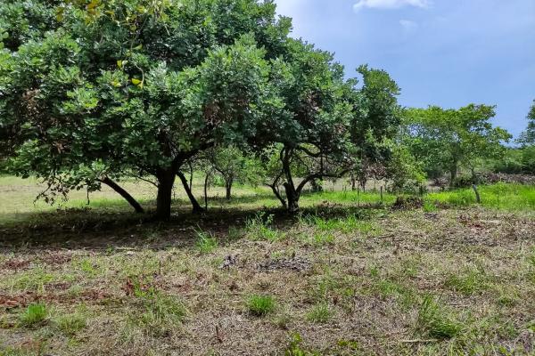 Se vende terreno en punta barco