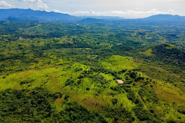 Terreno de 83 ha cerca de coronado panamá oeste