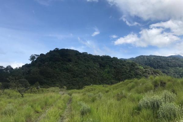 Terreno plano sereno en venta con vistas a la montaña