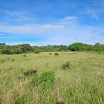 Se vende finca agrícola en boquerón, cordillera. chiriquí