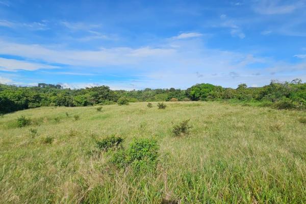 Se vende finca agrícola en boquerón, cordillera. chiriquí