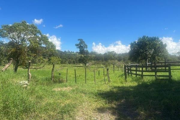 Se vende terreno en volcán chiriqui tisingal