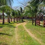 Se vende finca de 10 hectareas en penonome