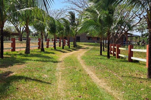 Se vende finca de 10 hectareas en penonome