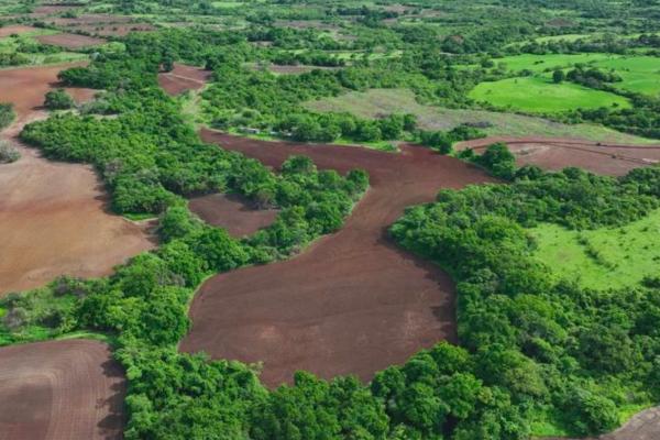 Venta de finca agropecuaria en ocú