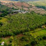 Venta de finca en bejuco de chame, panamá oeste