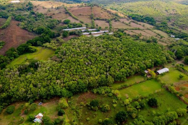 Venta de finca en bejuco de chame, panamá oeste