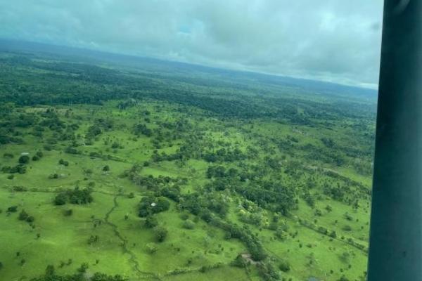 Fincas ganaderas en chame