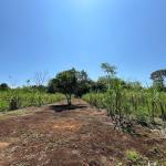 Se vende finca de 3 hectáreas con río