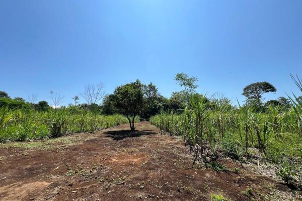 Se vende finca de 3 hectáreas con río