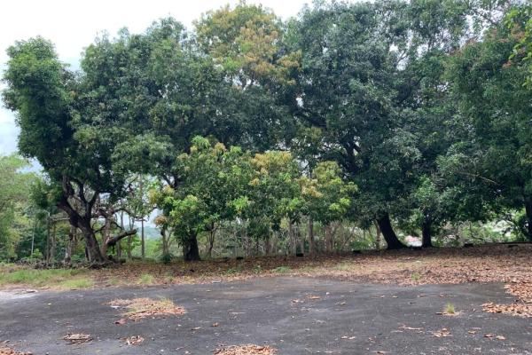 Terreno ubicado en altos de curundu