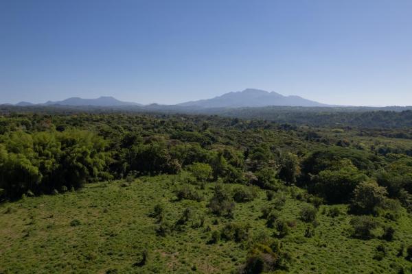 Finca en san andrés 195 hectáreas