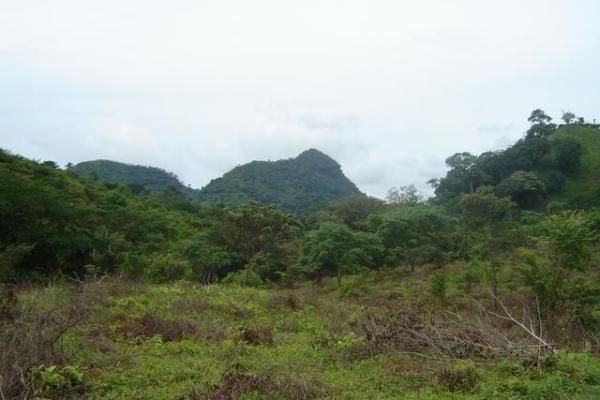 Terreno de 90 hectáreas en venta en chame panamá