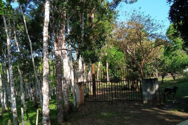 Vendo terreno en la arenosa, chorrera de 14.5 has. lago gatún