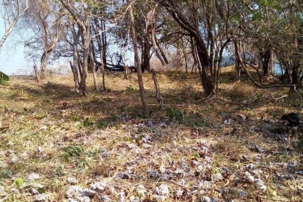 Venta de terreno frente al mar