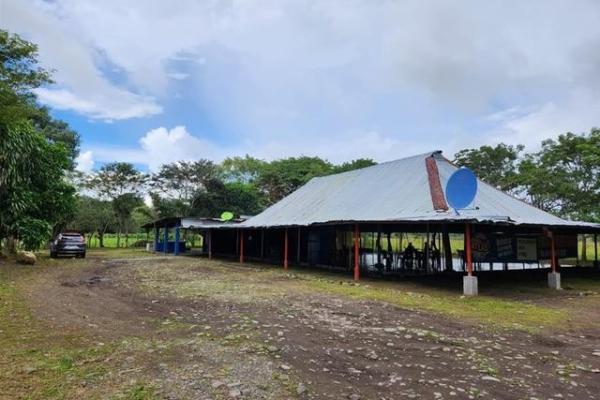 ¡espacio comercial! bar/jardín en terreno fértil de 5 acres en venta cerca