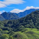 Se vende finca ganadera de 66 hectáreas en cordillera arriba