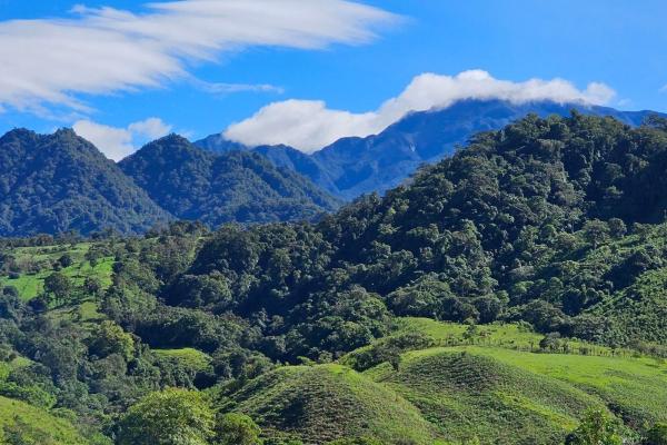 Se vende finca ganadera de 66 hectáreas en cordillera arriba