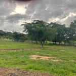 Terreno plano en venta en cañaveral, penonomé