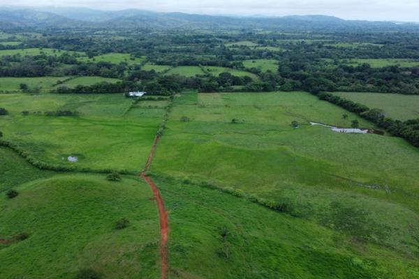 Finca ganadera agroindustrial en venta en mariato veraguas