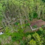 32 hectáreas reforestadas con cascada y mejoras | la laguna de san carlos