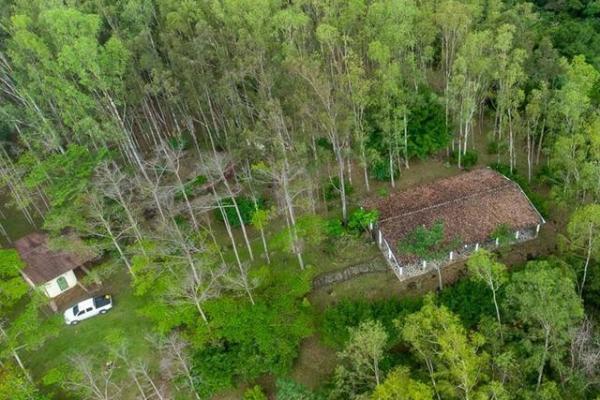 32 hectáreas reforestadas con cascada y mejoras | la laguna de san carlos