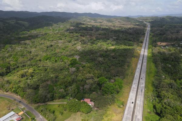 Venta de finca en nuevo san juan, colón 26 has