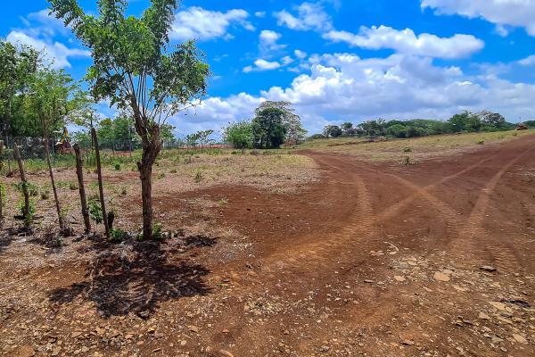 Se vende terreno en la mitra, peña blanca