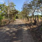 Finca en venta en salitrosa, roble, aguadulce