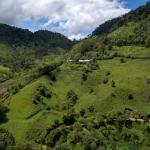 La riqueza de la naturaleza en volcán chiriquí