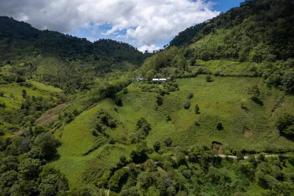 La riqueza de la naturaleza en volcán chiriquí