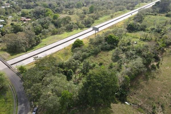 Finca en nuevo san juan , colón , 310 has