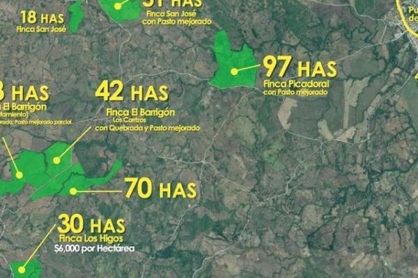 Fincas agrícolas de 396 hectáreas en ocú