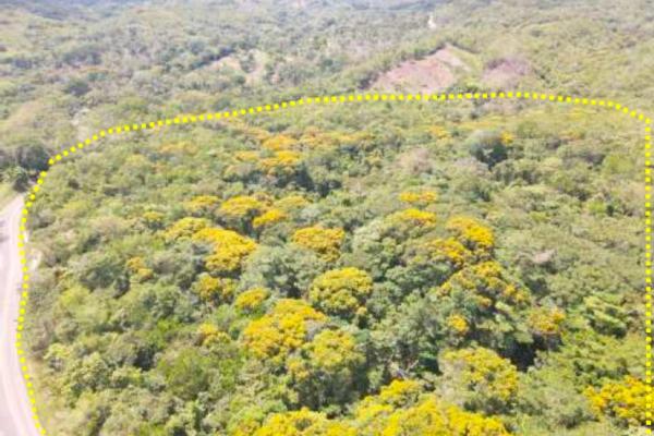 Se vende terreno en el área de penonomé