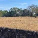 Terreno urbanizable de una hectárea en carretera caldera