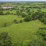 51 hectarias de finca en el arado, la chorrera