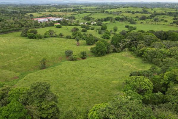 51 hectarias de finca en el arado, la chorrera