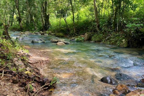 Espectacular finca ecologica, ¡precio reducido!