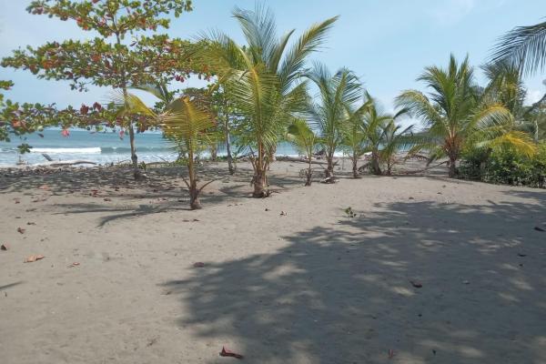 Lote frente al mar en puerto armuelles panamá