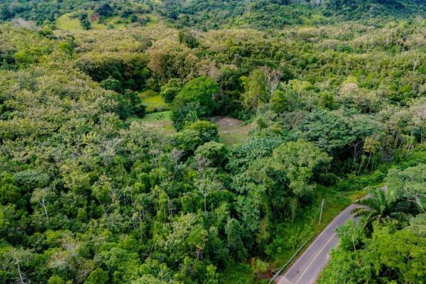 Terreno en venta en toabré coclé panamá